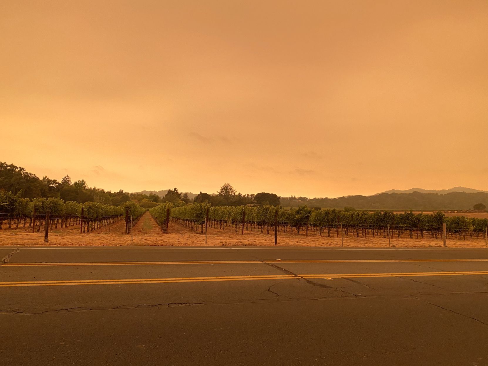 Skies over Napa County
